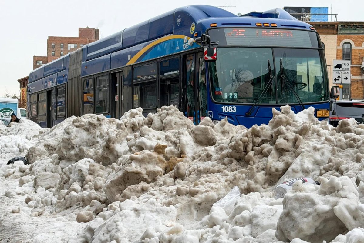 Surviving Winter 2026